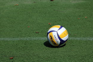 hth华体会-女子排球世锦赛中国队逆转强敌夺冠，女子排球世锦赛几年一届